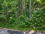 Lot 15 Emerald Springs Loop - Photo 2