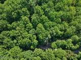 Lot 15 Emerald Springs Loop - Photo 4