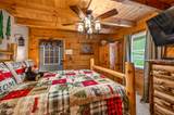 3628 Country Pines Way - Photo 18