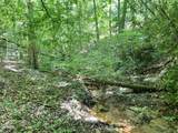 Lot 110 Fir Drive - Photo 12