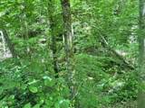 Lot 110 Fir Drive - Photo 2