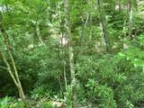 Lot 110 Fir Drive - Photo 3