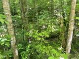 Lot 110 Fir Drive - Photo 6