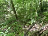 Lot 110 Fir Drive - Photo 9