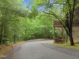 2920 Raven Fork Circle - Photo 5