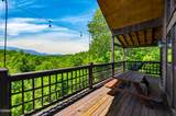 2428 Breezy Road - Photo 78