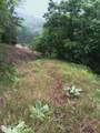 TBD Highway 31 - Photo 31