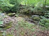 4229 Parkway #44 - Photo 11