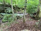 4229 Parkway #44 - Photo 12