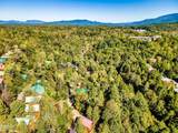 1633 Misty Hollow Way - Photo 41
