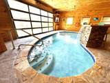2748 Cats Paw Lane - Photo 92