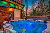 4211 Bruce Ogle Way - Photo 3