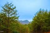 1928 Bear Creek Falls Way - Photo 29