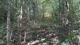 Lot 13 Rupert Drive - Photo 13