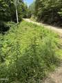 Lot 56 Butternut Lane - Photo 3