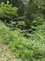 Lot 56 Butternut Lane - Photo 4