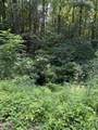 Lot 56 Butternut Lane - Photo 6