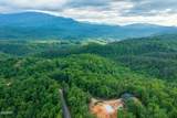 Lot 62 Pinnacle Vista Road - Photo 20