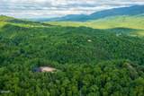 Lot 62 Pinnacle Vista Road - Photo 22