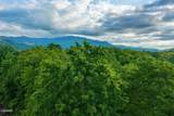 Lot 62 Pinnacle Vista Road - Photo 30
