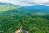 Lot 62 Pinnacle Vista Road - Photo 4