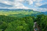 Lot 62 Pinnacle Vista Road - Photo 6
