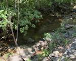 969 Carson Springs Road - Photo 28