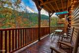 842 Black Bear Cub Way - Photo 15