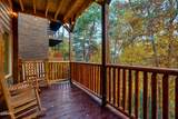 842 Black Bear Cub Way - Photo 17