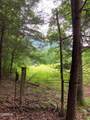 1477 Old Chilhowee Road - Photo 6