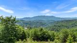 Lot 3 Cove Mountain Road Road - Photo 3