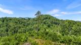 Lot 3 Cove Mountain Road Road - Photo 38