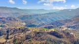 Lot 3 Cove Mountain Road Road - Photo 8