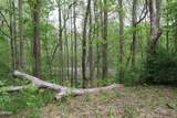 250 Mountain Side Lane - Photo 12