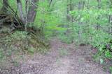 250 Mountain Side Lane - Photo 15