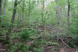 250 Mountain Side Lane - Photo 16