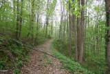 250 Mountain Side Lane - Photo 2