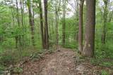250 Mountain Side Lane - Photo 21