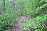 250 Mountain Side Lane - Photo 22