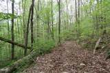 250 Mountain Side Lane - Photo 23