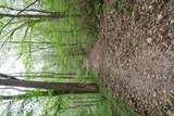 250 Mountain Side Lane - Photo 27