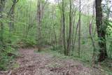 250 Mountain Side Lane - Photo 3