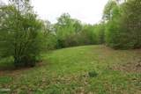 250 Mountain Side Lane - Photo 41