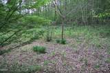 250 Mountain Side Lane - Photo 45