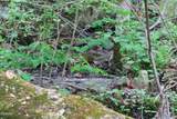 250 Mountain Side Lane - Photo 5