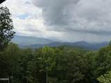 1038 Clingmans View - Photo 15