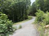 1038 Clingmans View - Photo 9