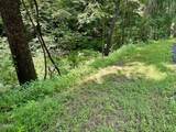 LOT 706A School House Gap Road - Photo 3