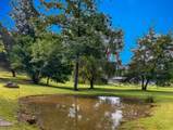 267 Pine Ridge - Photo 5