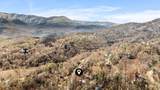 1508 Zurich Road - Photo 42